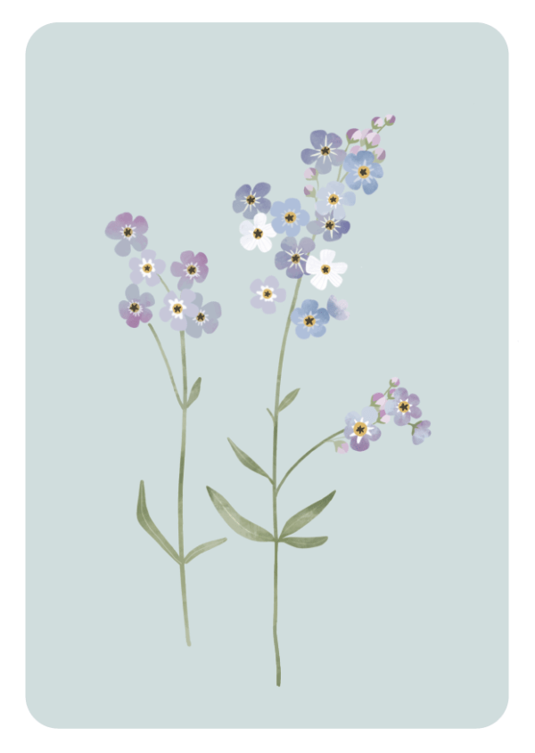 Herkkä sinisävyinen kortti ihanasta lemmikki-kukasta