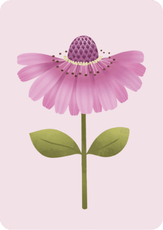 Postikortti Pinkki kukka